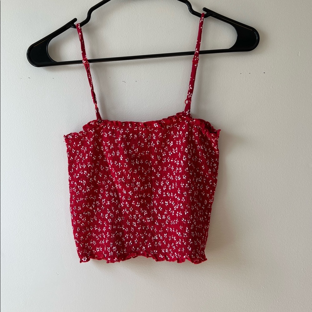 Brandy Melville John Galt Smocked Red Floral Cami Crop